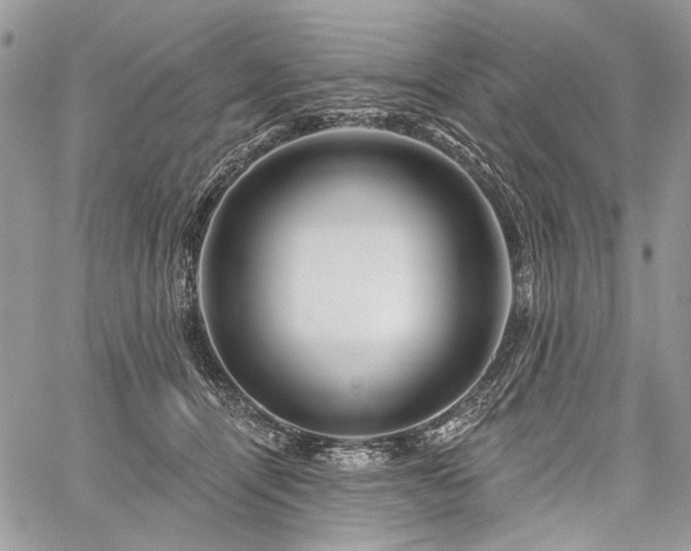 X0000059840464200510211152