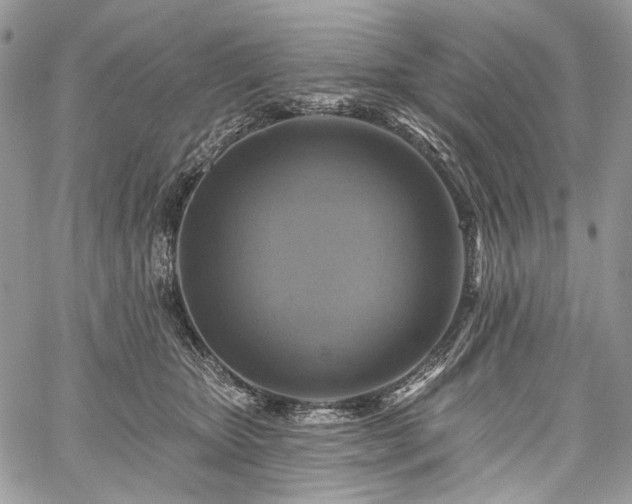 X0000059840467200510211152