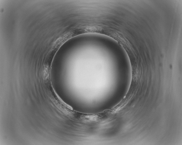 X0000059840478200510211152