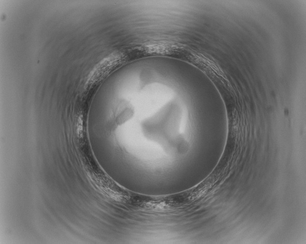 X0000059840502200510211151