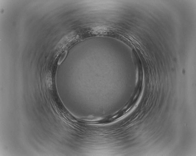 X0000059840508200510211151