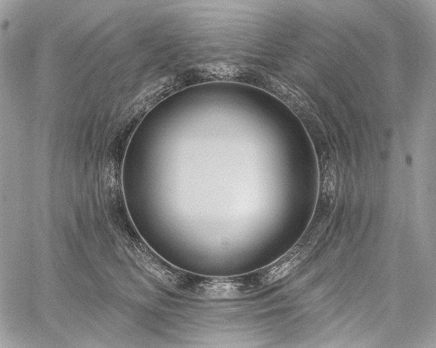 X0000059840518200510211151