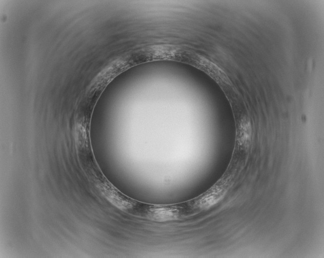 X0000059840522200510211151