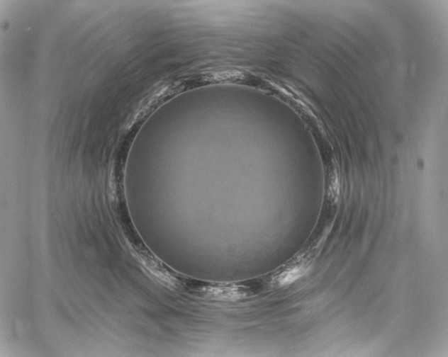 X0000059840524200510211151