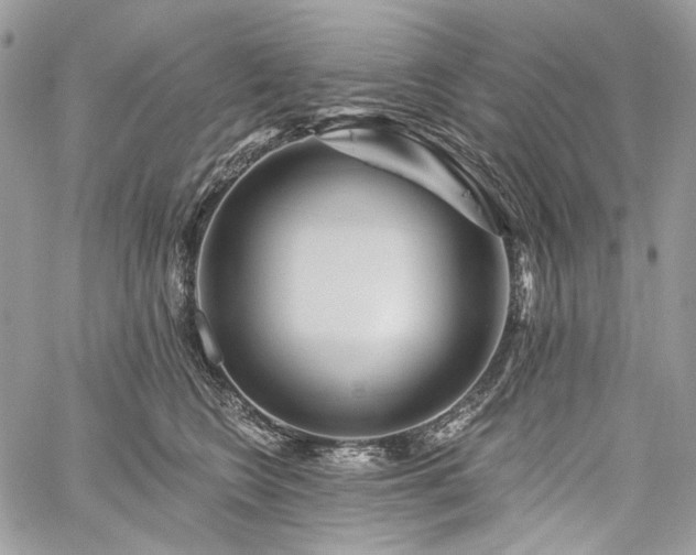 X0000059840566200510211150