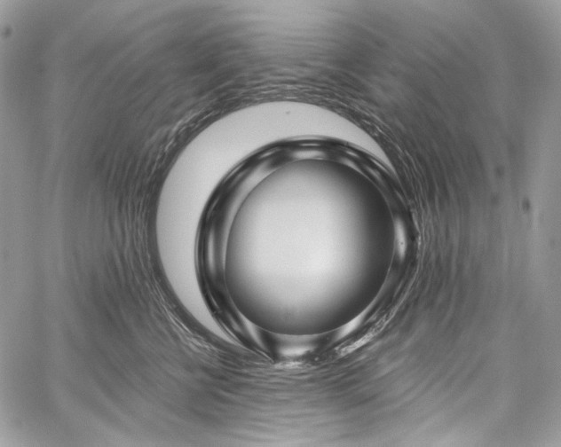 X0000059840570200510211150