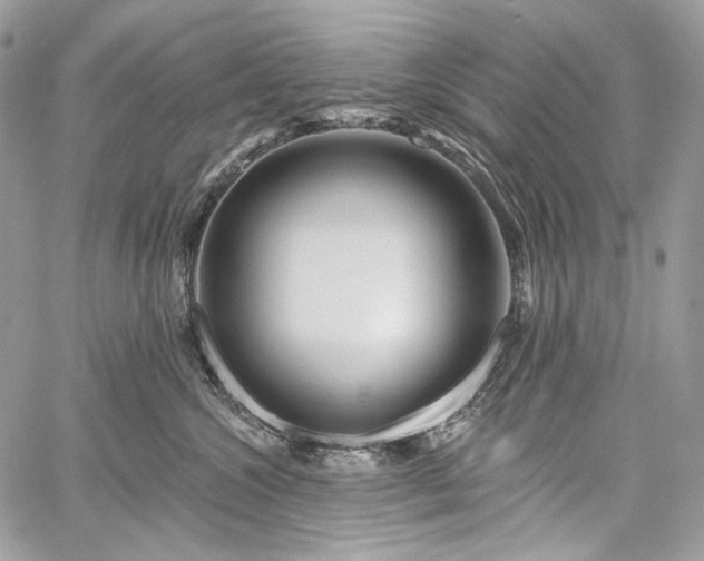 X0000059840572200510211150