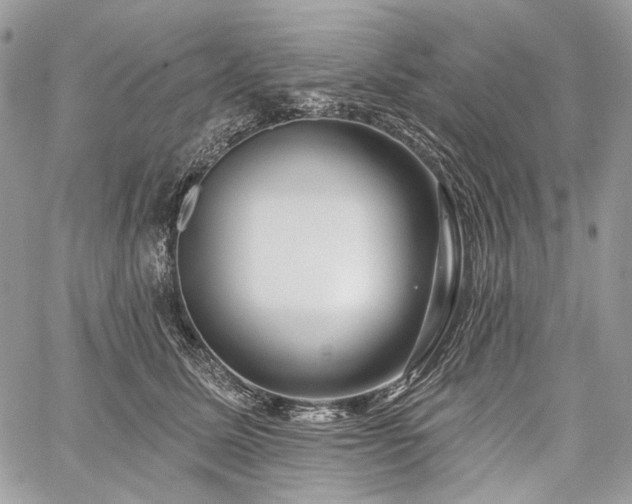 X0000059840611200510211149