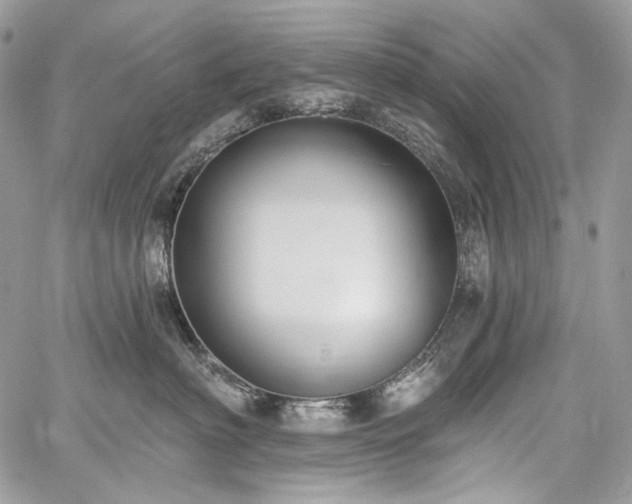 X0000059840622200510211149