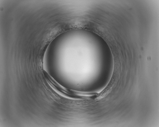 X0000059840624200510211149