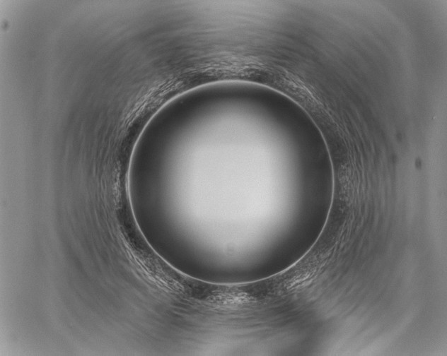 X0000059840642200510211148