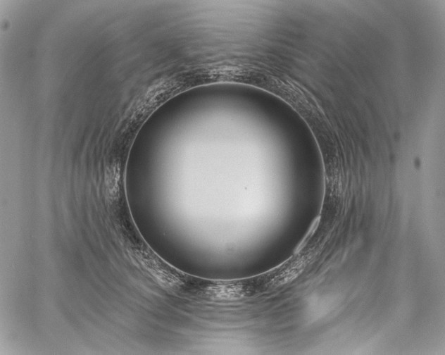 X0000059840660200510211149