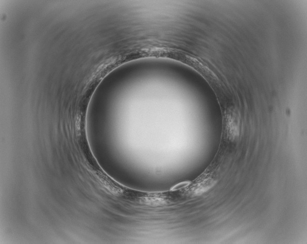 X0000059840668200510211149