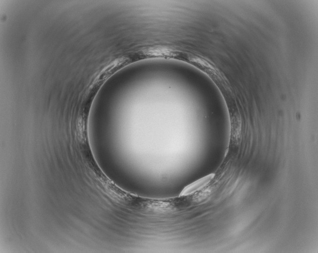 X0000059840669200510211149