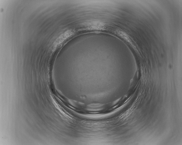 X0000059840677200510211148
