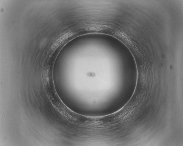 X0000059840683200510211148