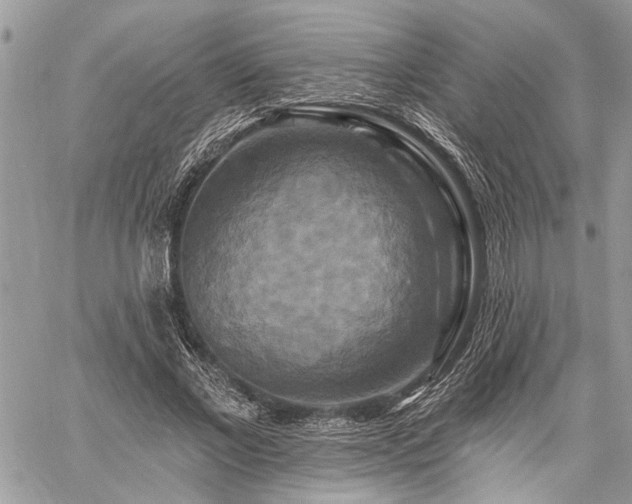 X0000059840685200510211148