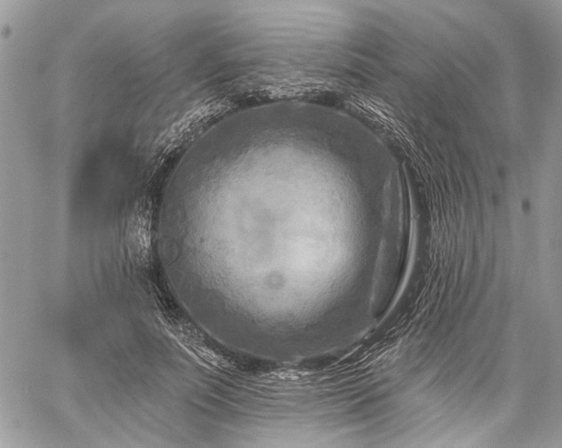 X0000059840691200510211148