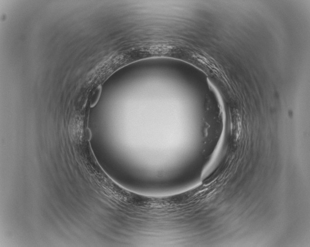 X0000059840697200510211148