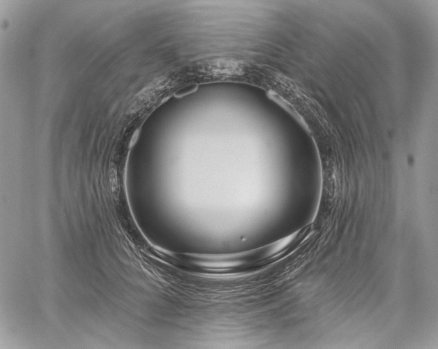 X0000059840704200510211148