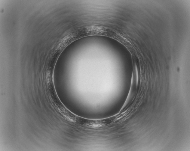 X0000059840708200510211148