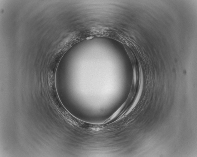 X0000059840712200510211148