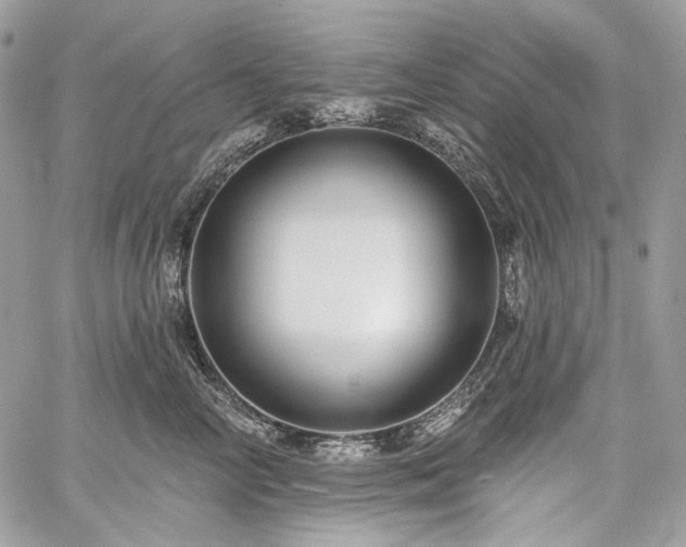 X0000059840714200510211147