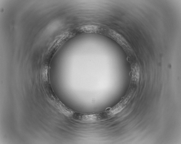 X0000059840717200510211147