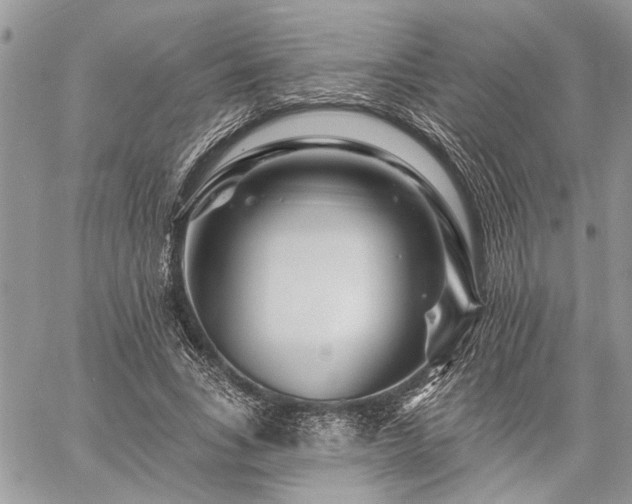 X0000059840735200510211147