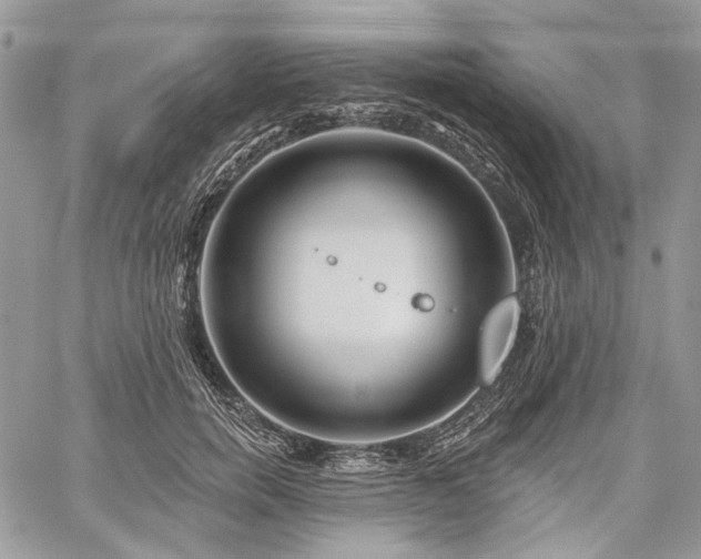 X0000059840750200510211147