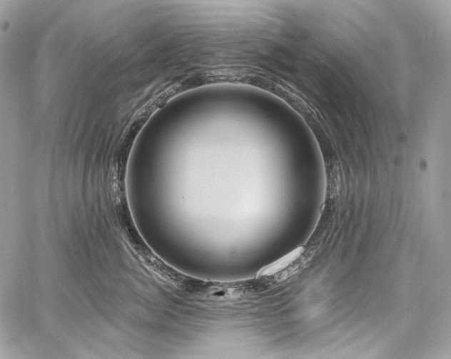 X0000059840764200510211147