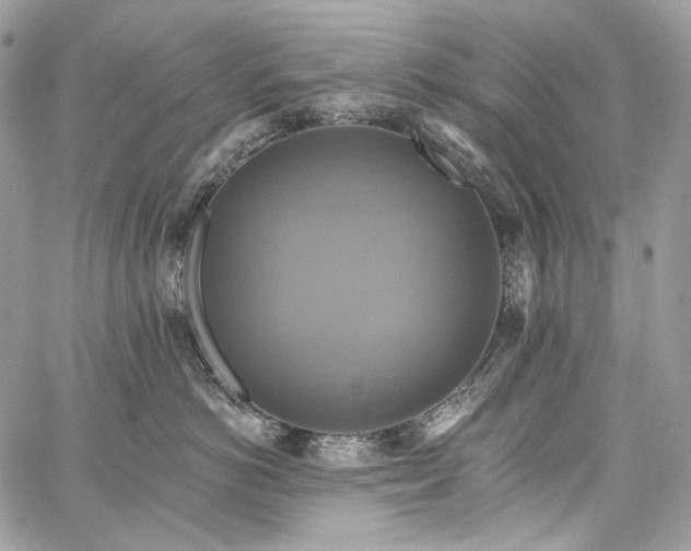X0000059840766200510211147