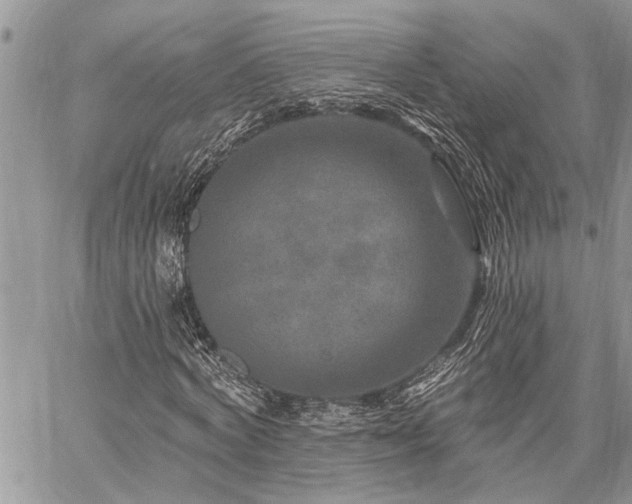X0000059840772200510211147