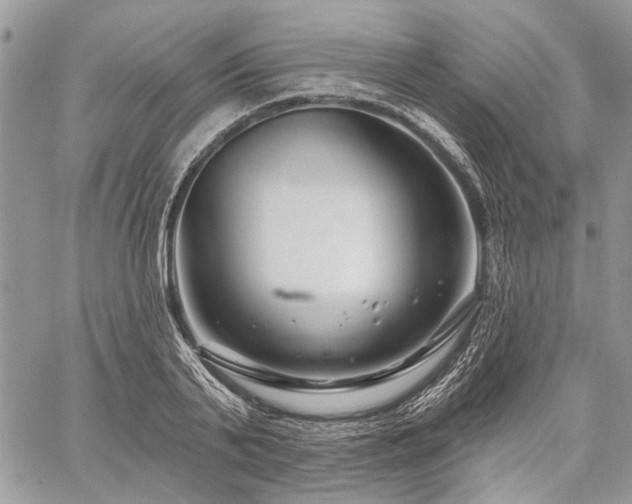 X0000059840791200510211146