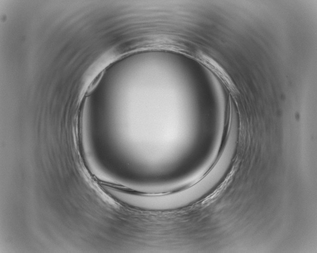 X0000059840812200510211146