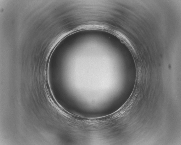 X0000059840852200510211146