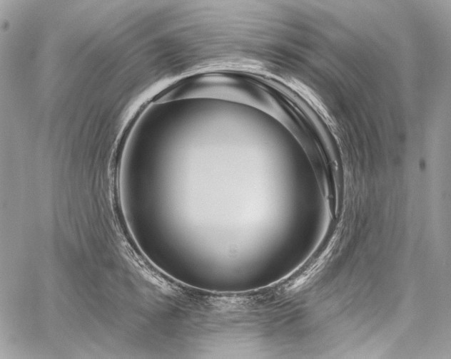 X0000059840854200510211146