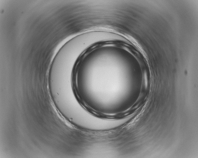 X0000059840862200510211146