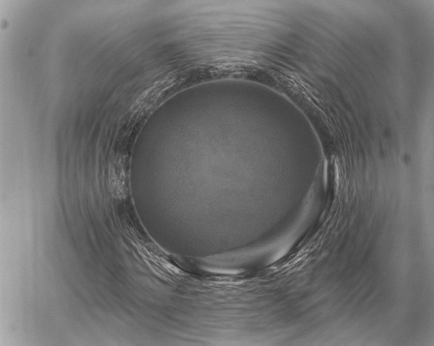 X0000059840868200510211145