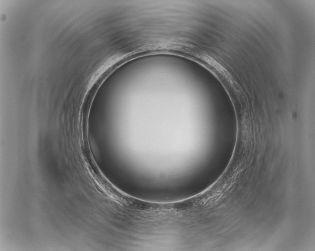 X0000059840886200510211145