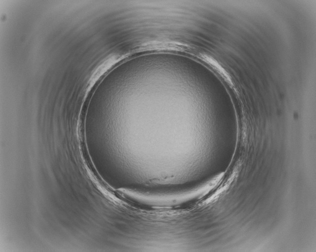 X0000059840893200510211145