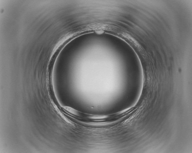 X0000059840894200510211145
