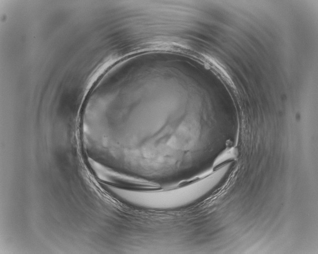 X0000059840899200510211144