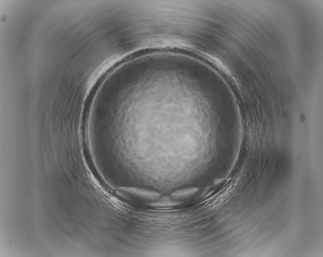 X0000059840943200510211144