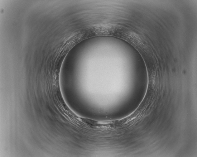 X0000059840964200510211143