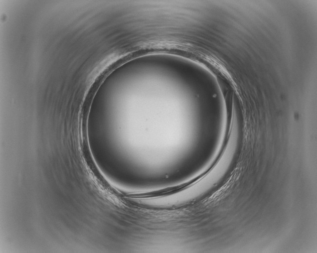 X0000059840984200510211143