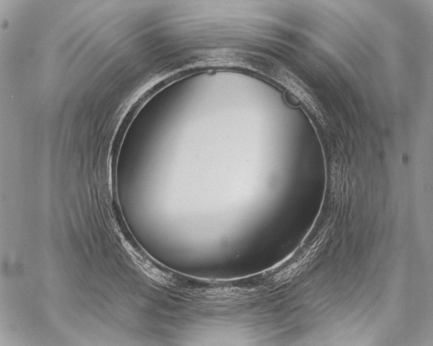 X0000059840988200510211143