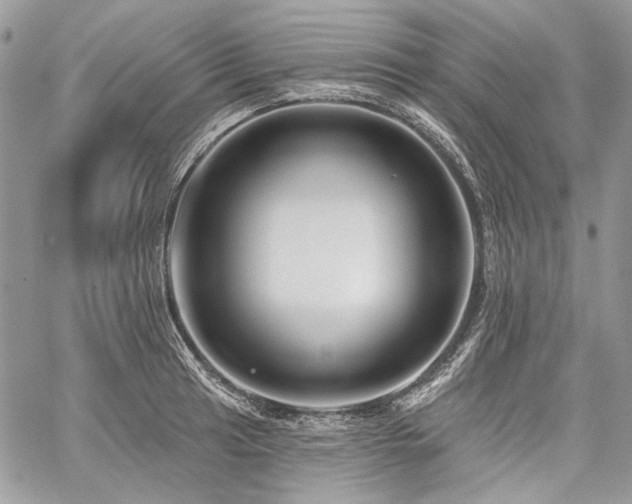 X0000059841041200510211142