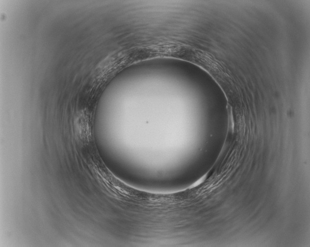 X0000059841058200510211142