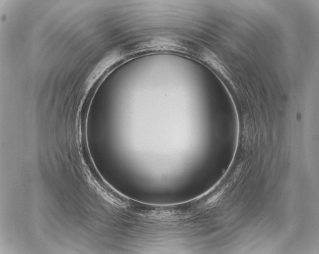 X0000059841082200510211141